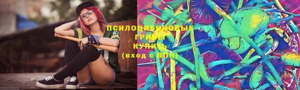 не бодяженный Алексин