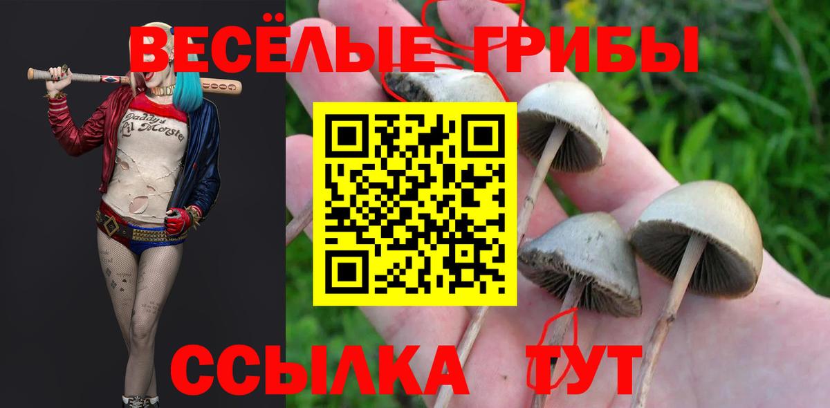 Псилоцибиновые грибы GOLDEN TEACHER Архангельск